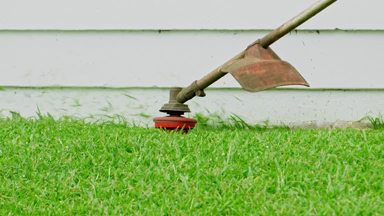 Best Landscape Design and Installation  in Sebring, FL